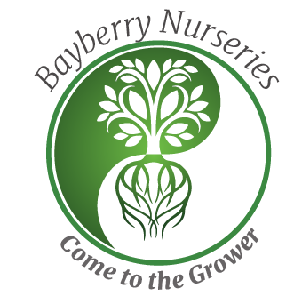 Bayberry Nurseries